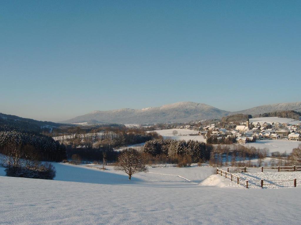Pension Landhaus Riedelstein Drachselsried Εξωτερικό φωτογραφία