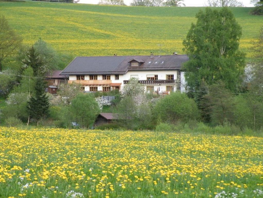 Pension Landhaus Riedelstein Drachselsried Εξωτερικό φωτογραφία