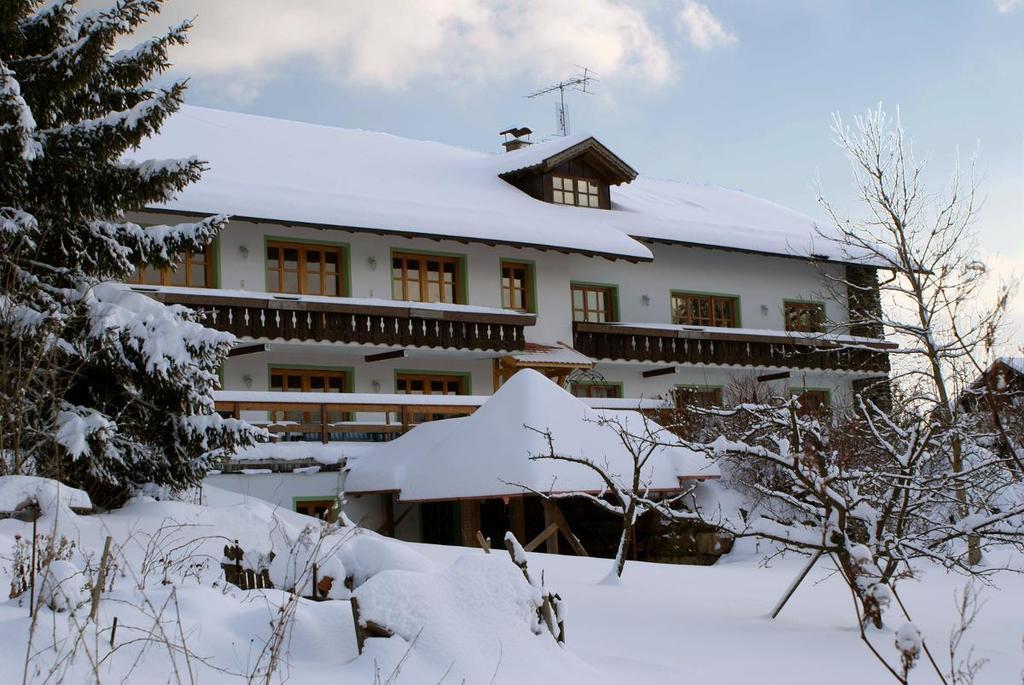 Pension Landhaus Riedelstein Drachselsried Εξωτερικό φωτογραφία